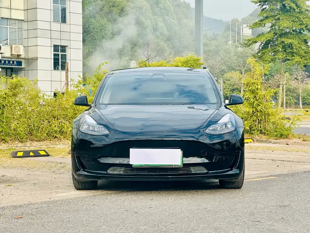 Tesla Model 3 — фото 2