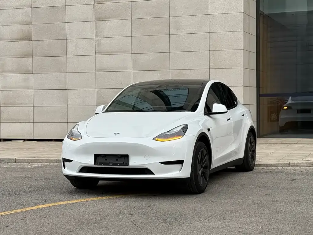 Tesla Model Y 2023 из CN, фото 1