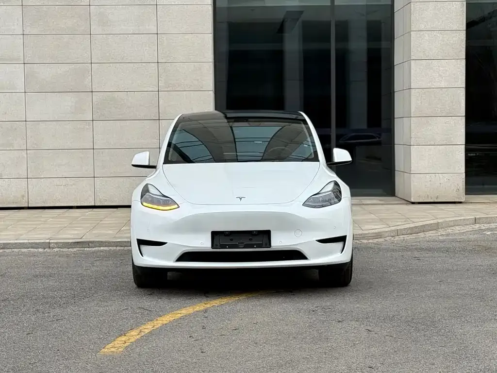 Tesla Model Y 2023 из CN, фото 9