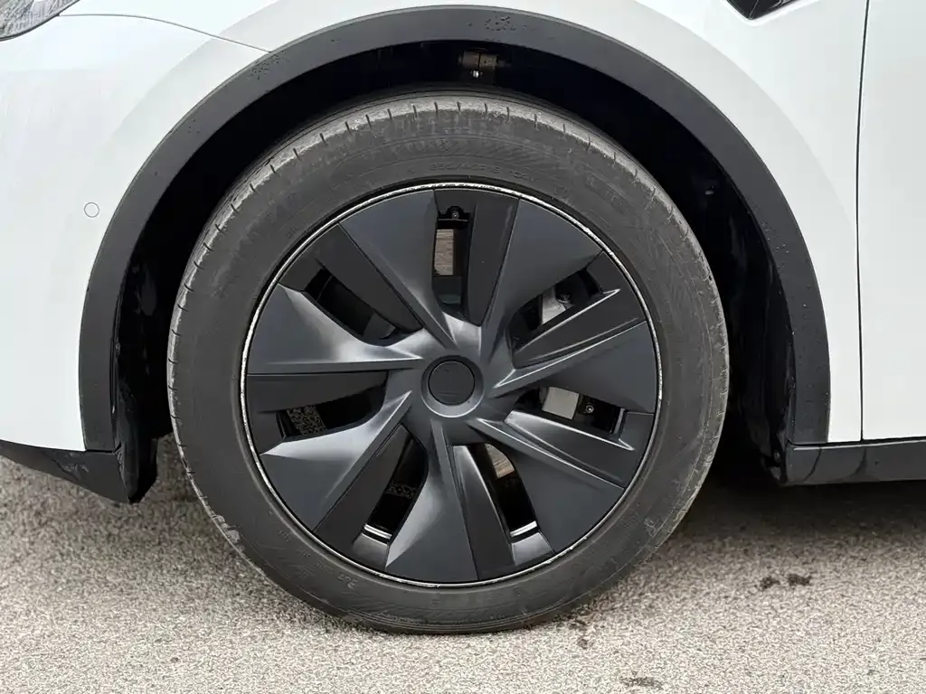 Tesla Model Y 2023 из CN, фото 6