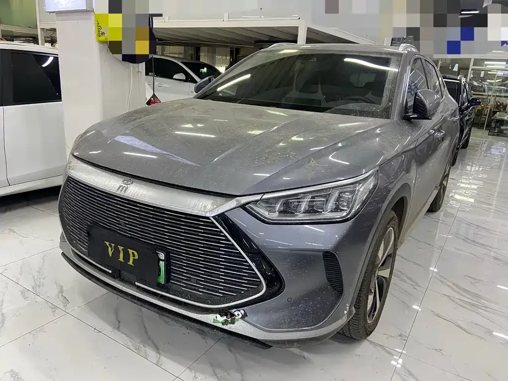 BYD PLUS New Energy 2021 из CN, фото 1