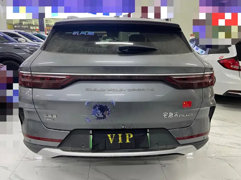BYD PLUS New Energy 2021 из CN, фото 8