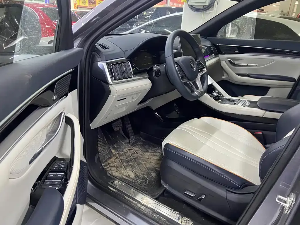 BYD PLUS New Energy 2021 из CN, фото 2