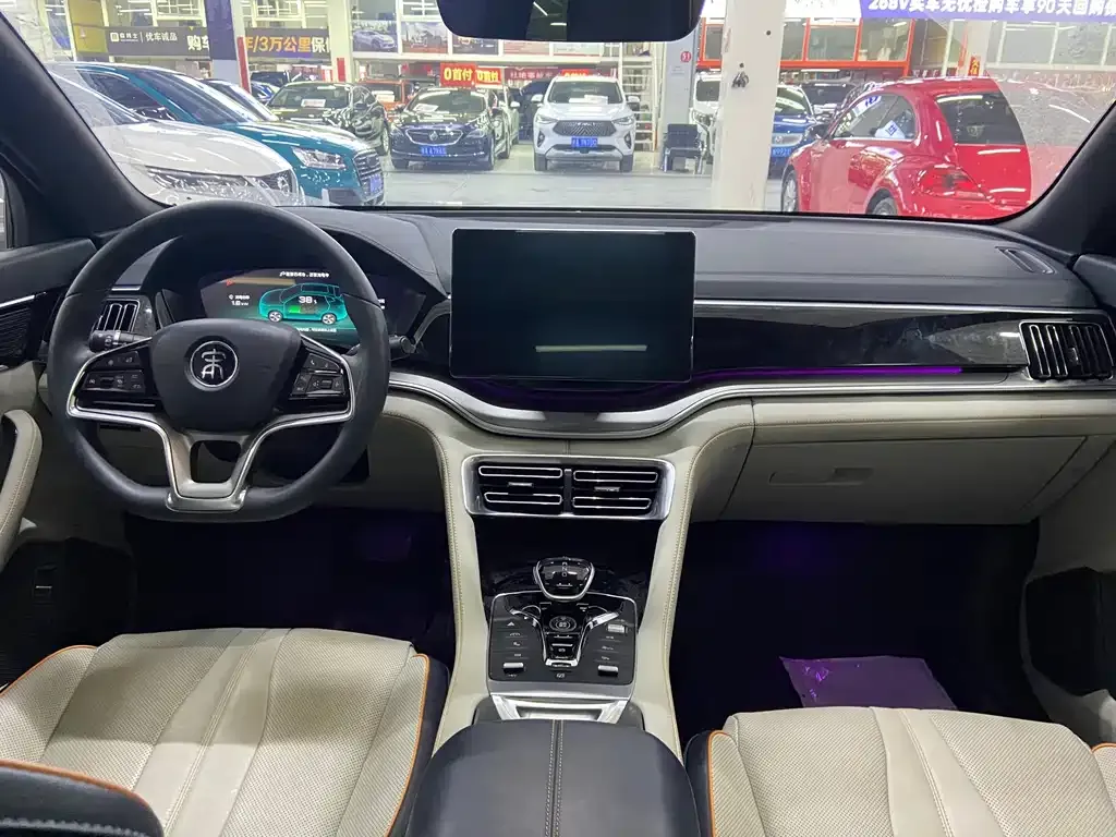 BYD PLUS New Energy 2021 из CN, фото 10