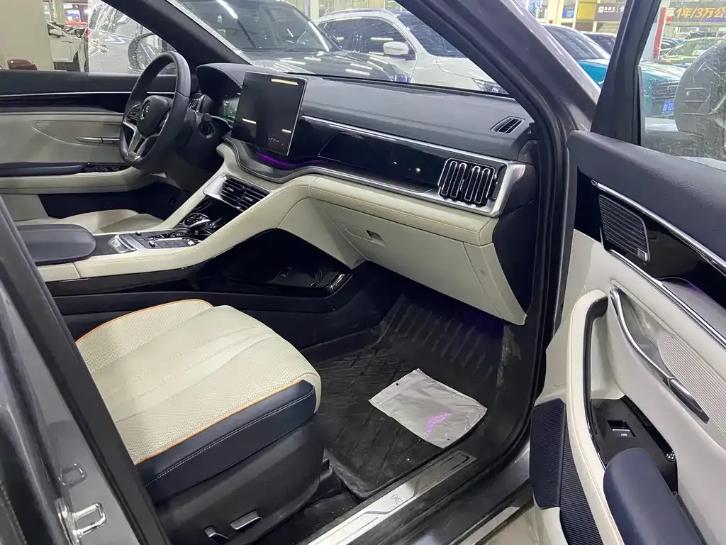 BYD PLUS New Energy 2021 из CN, фото 5