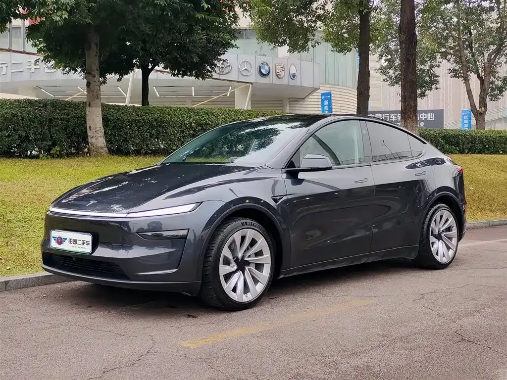 Tesla Model Y — фото 1