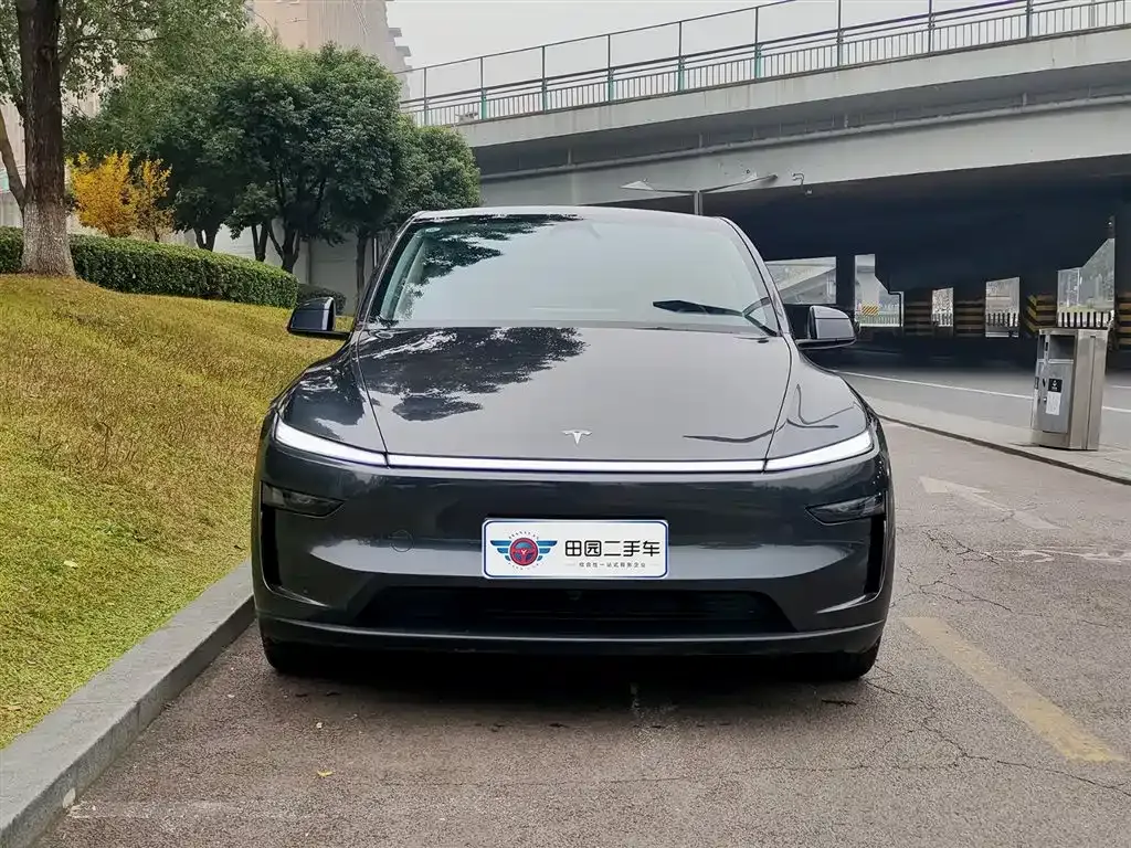 Tesla Model Y — фото 9
