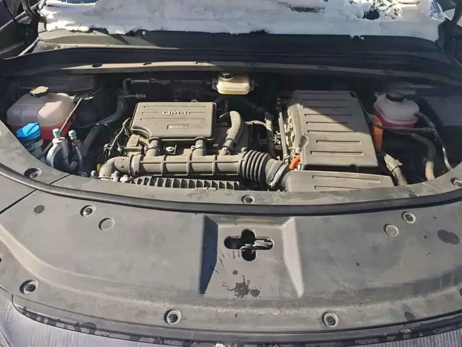BYD L DM-i — фото 10