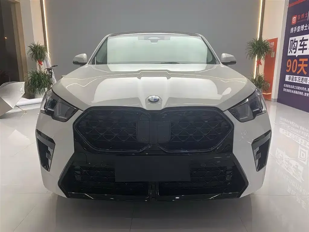 BMW X2 (Import) — фото 9