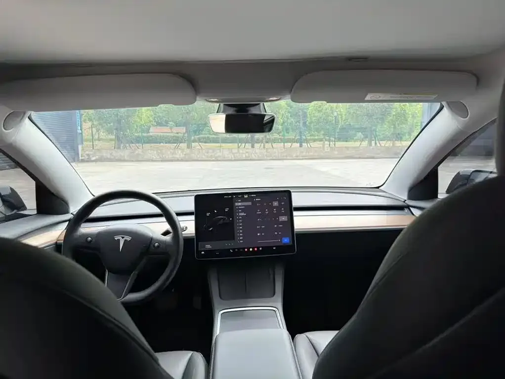Tesla Model 3 2022 из CN, фото 4