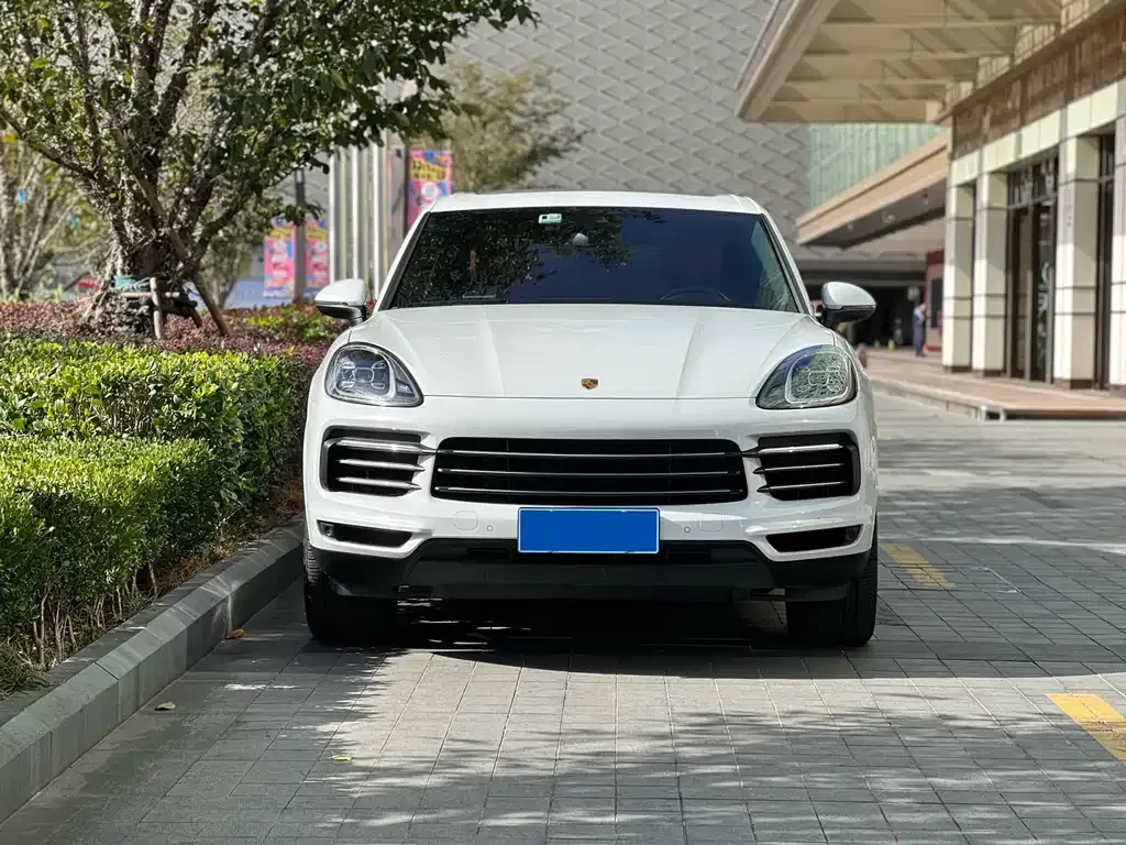 Porsche Cayenne 2022 из CN, фото 6