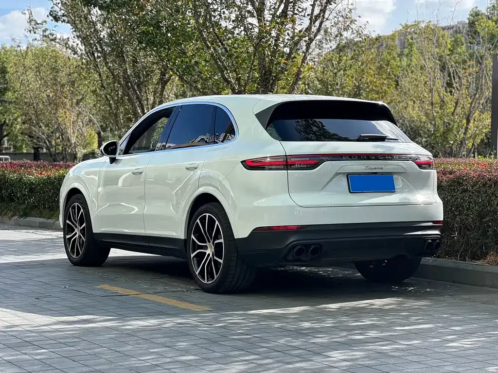 Porsche Cayenne 2022 из CN, фото 8