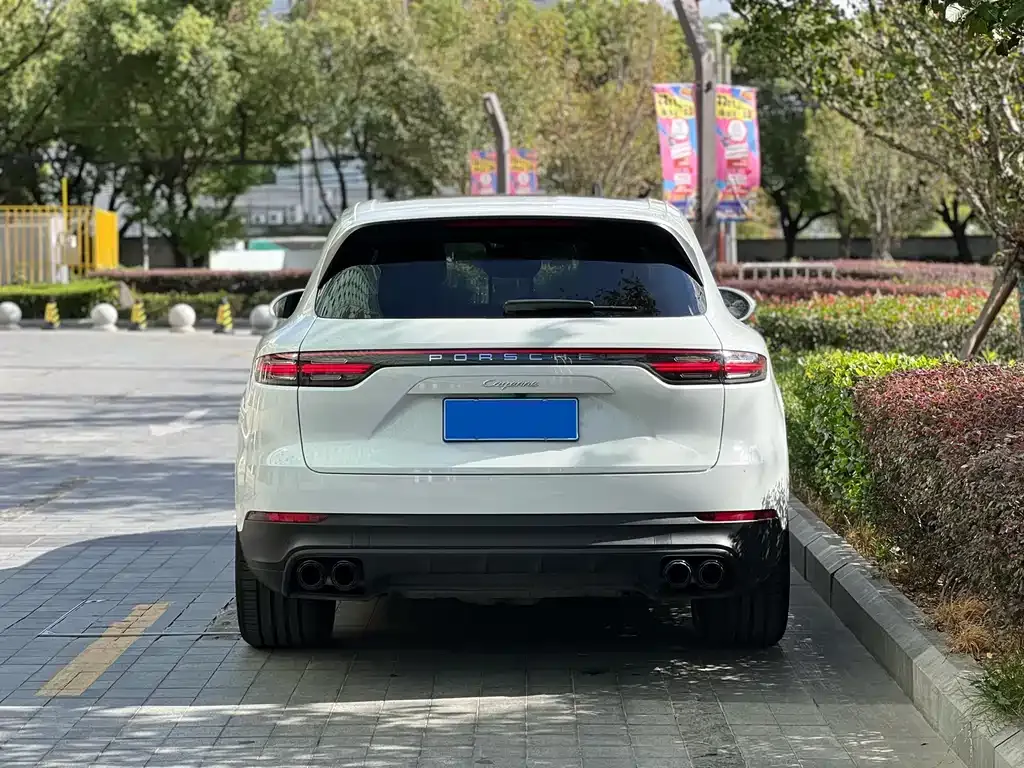 Porsche Cayenne 2022 из CN, фото 10