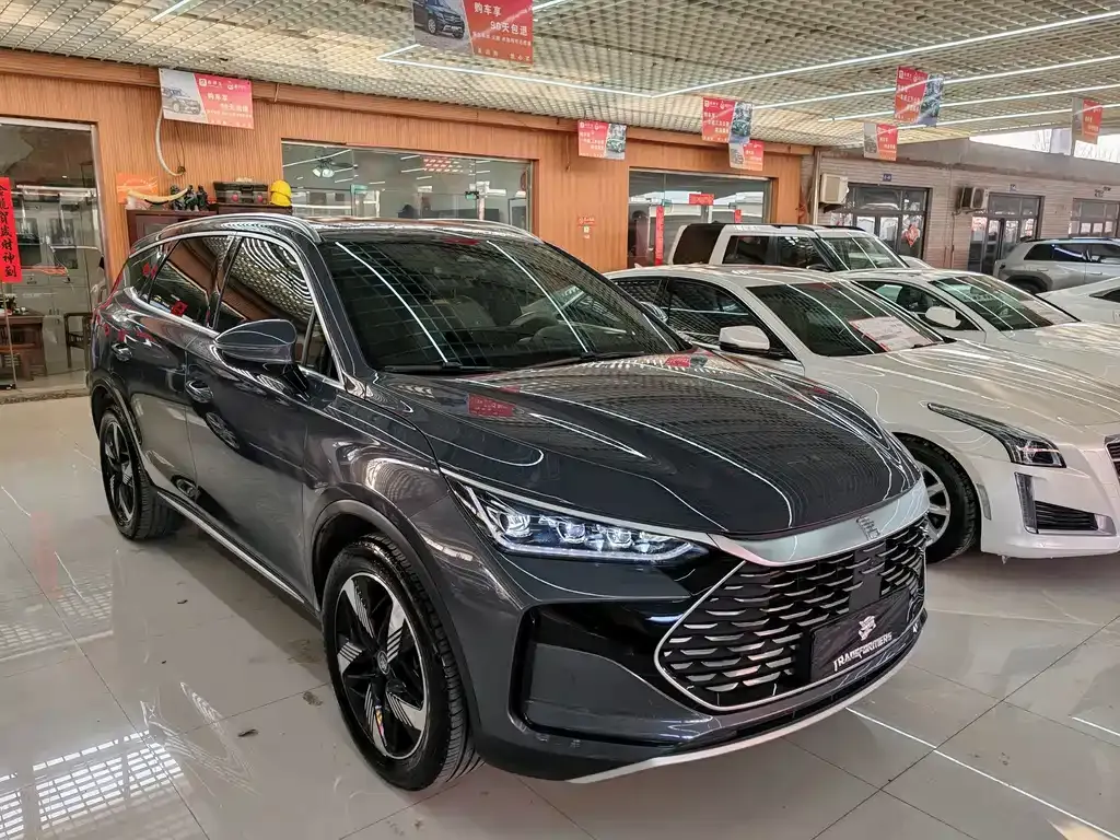 BYD Tang New Energy 2024 из CN, фото 10