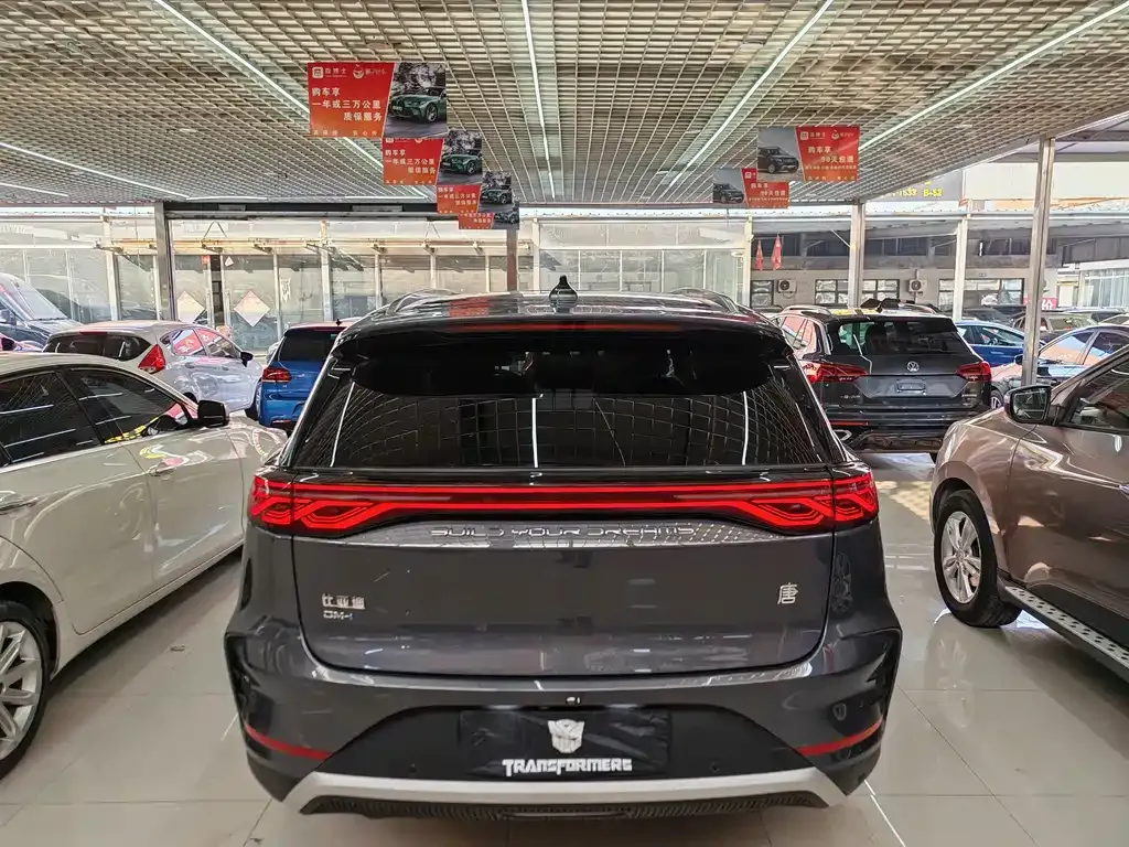 BYD Tang New Energy 2024 из CN, фото 3