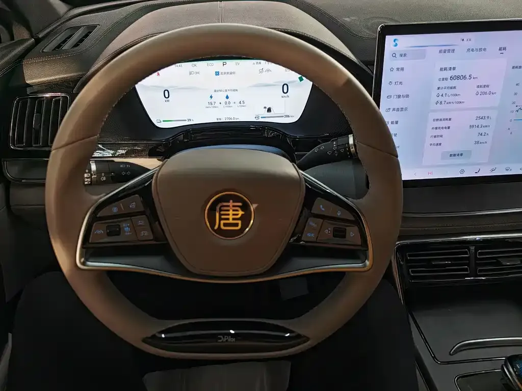 BYD Tang New Energy 2024 из CN, фото 2