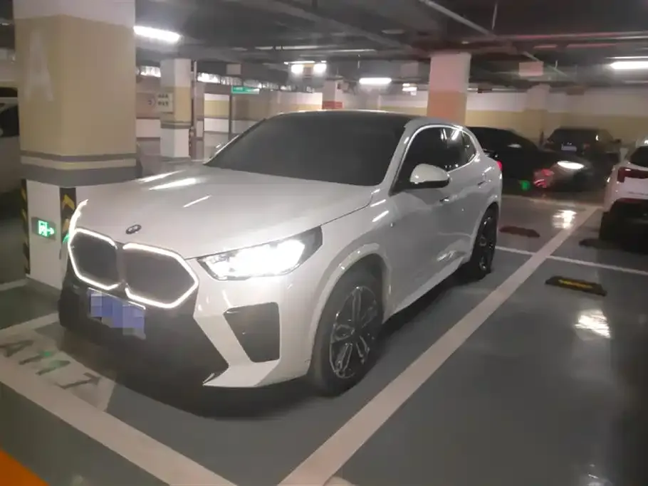 BMW X2 (Import) 2024 из CN, фото 1