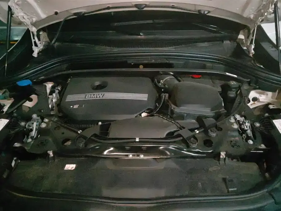 BMW X2 (Import) 2024 из CN, фото 5