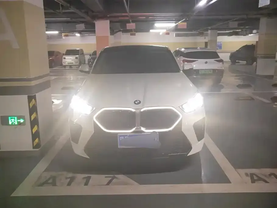 BMW X2 (Import) 2024 из CN, фото 8