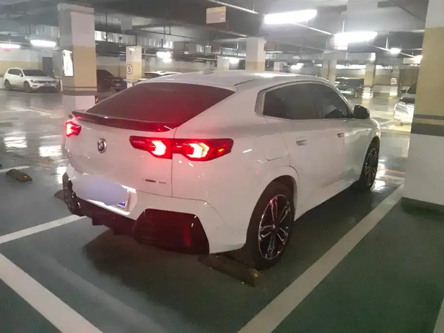 BMW X2 (Import) 2024 из CN, фото 10