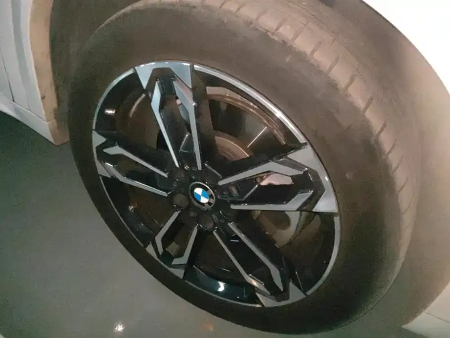 BMW X2 (Import) 2024 из CN, фото 6