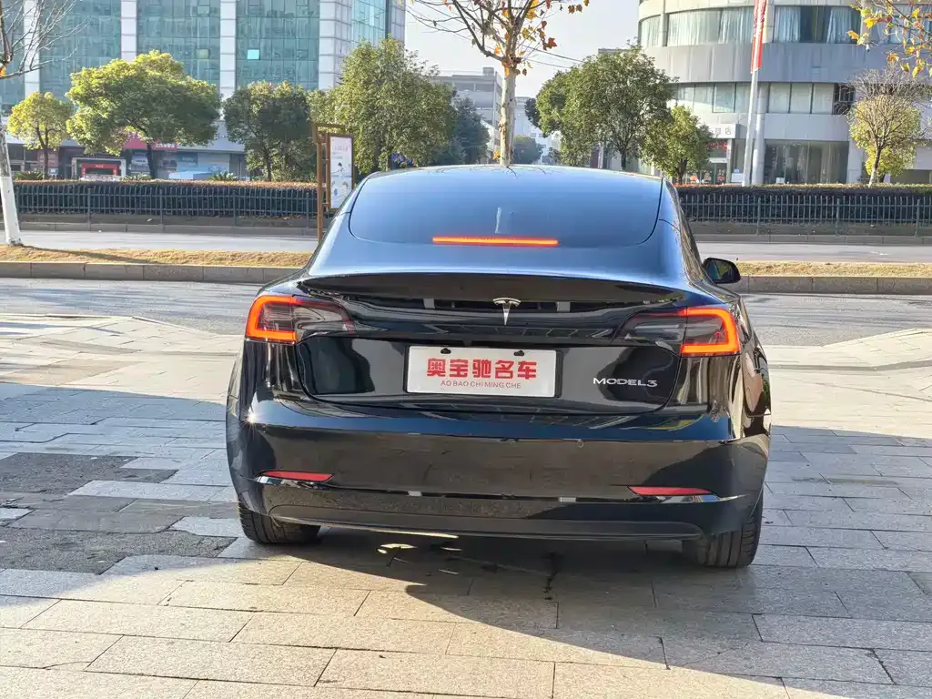 Tesla Model 3 2022 из CN, фото 9