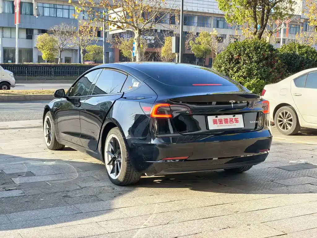 Tesla Model 3 2022 из CN, фото 10