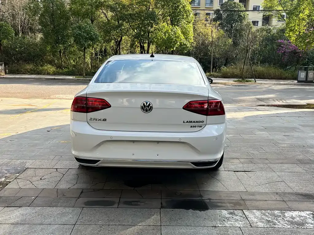 Volkswagen Lamando 2022 из CN, фото 6