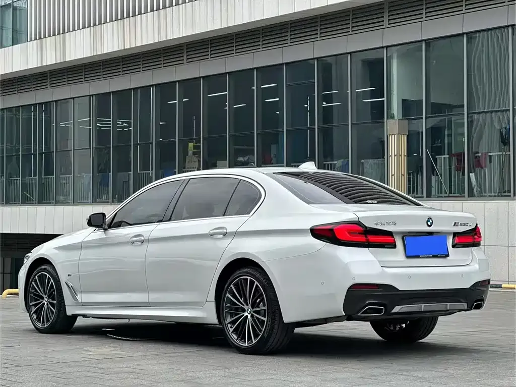 BMW 5 Series 2023 из CN, фото 6