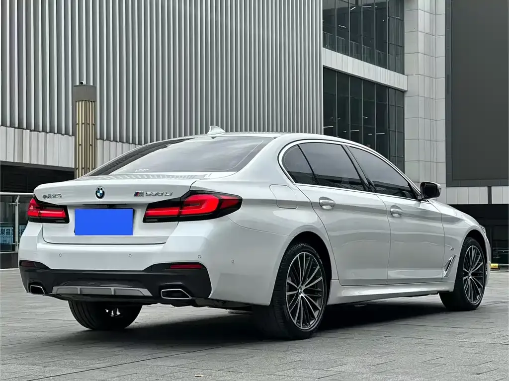 BMW 5 Series 2023 из CN, фото 8