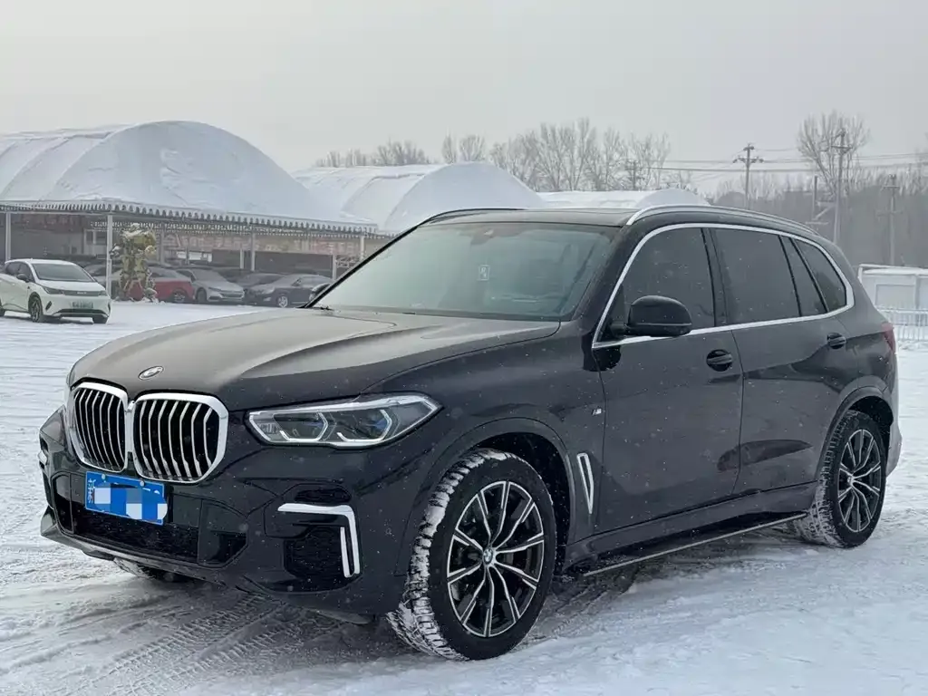 BMW X5 2023 из CN, фото 1