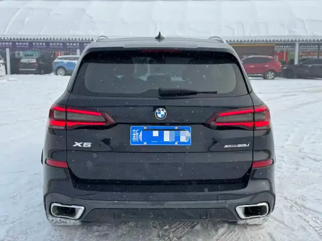 BMW X5 2023 из CN, фото 6
