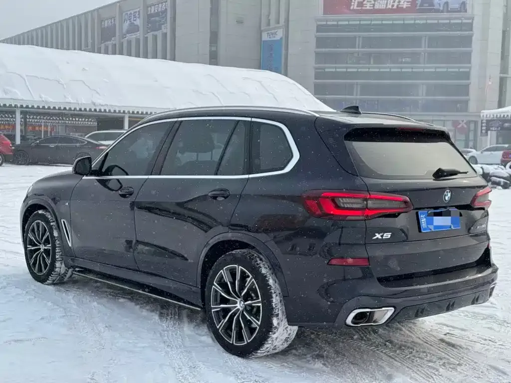 BMW X5 2023 из CN, фото 2