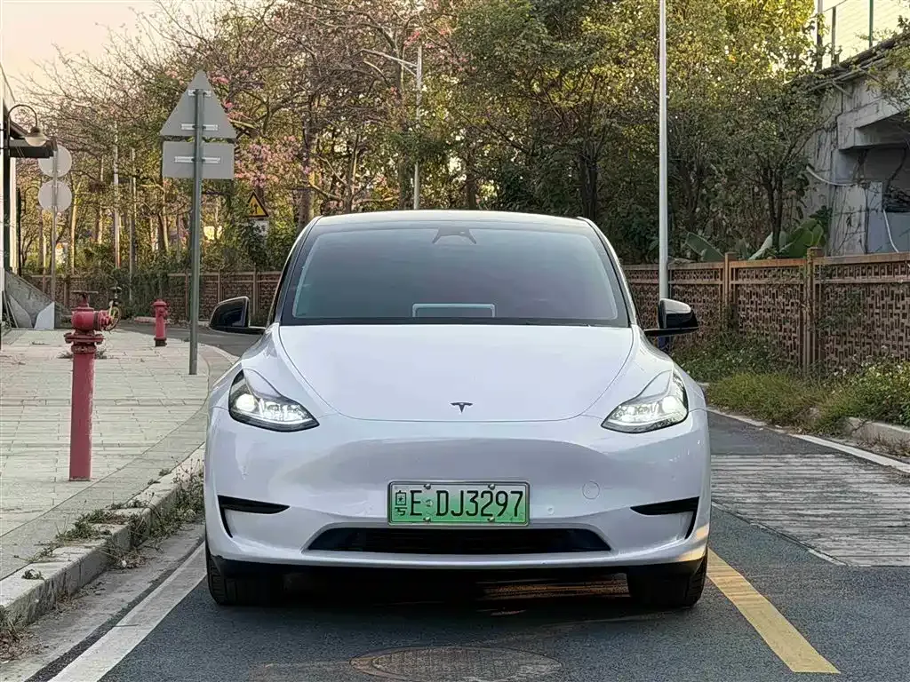 Tesla Model Y — фото 1