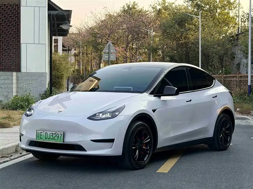 Tesla Model Y — фото 10
