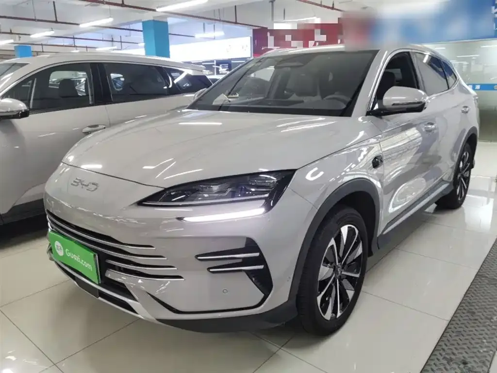 BYD PLUS New Energy — фото 1