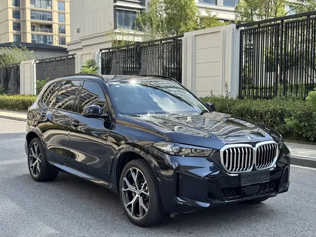 BMW X5 — фото 8