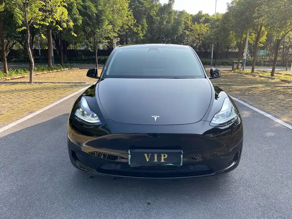 Tesla Model Y — фото 2