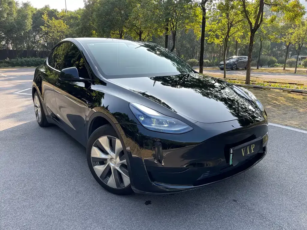 Tesla Model Y — фото 3