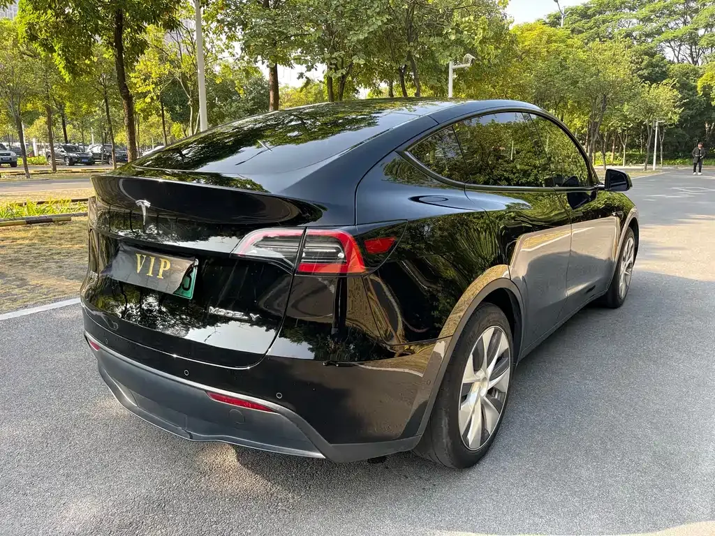 Tesla Model Y — фото 6