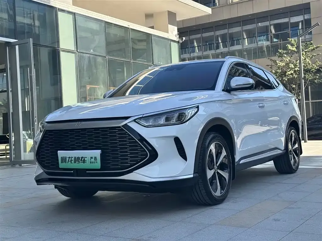 BYD PLUS New Energy — фото 1