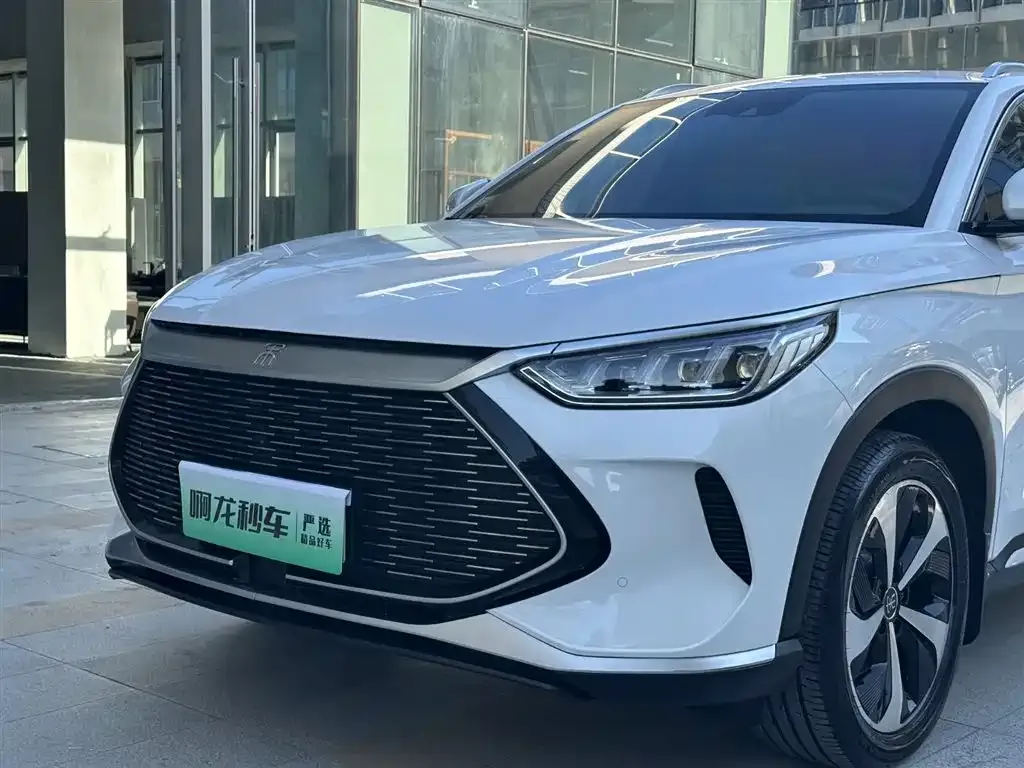 BYD PLUS New Energy — фото 2