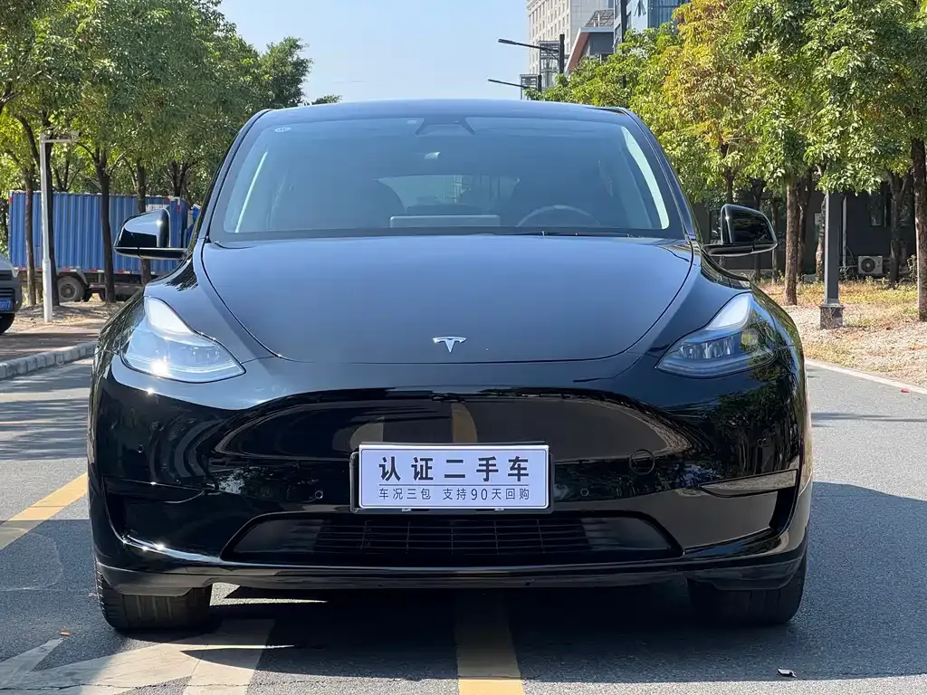 Tesla Model Y — фото 3