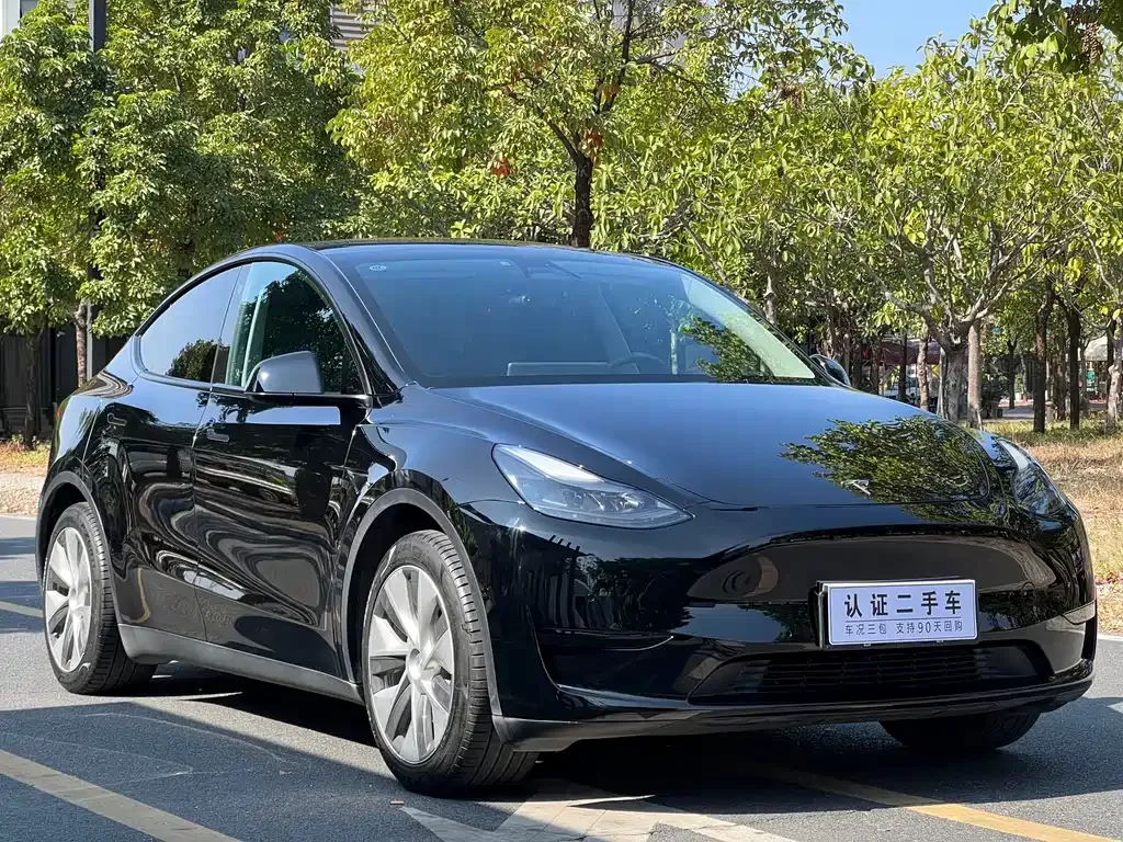 Tesla Model Y — фото 10