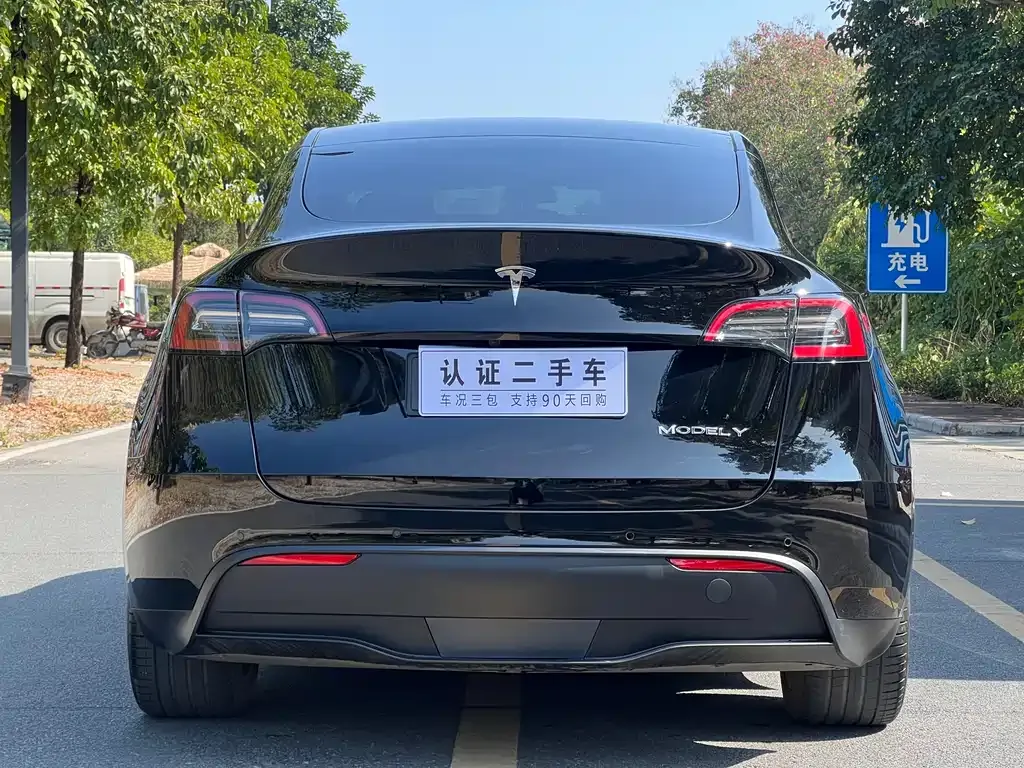 Tesla Model Y — фото 9