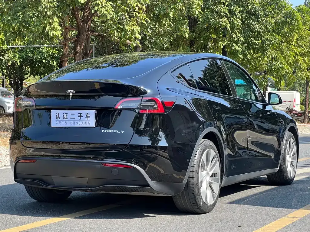 Tesla Model Y — фото 5