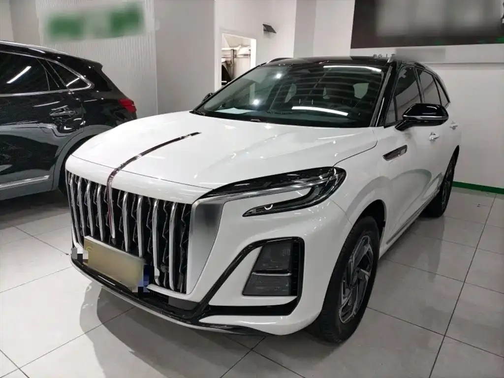 Hongqi HS3 2023 из CN, фото 7