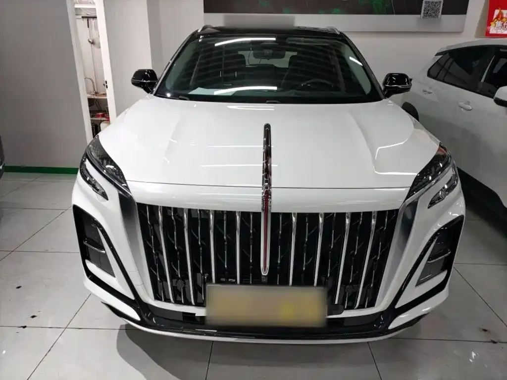 Hongqi HS3 2023 из CN, фото 3