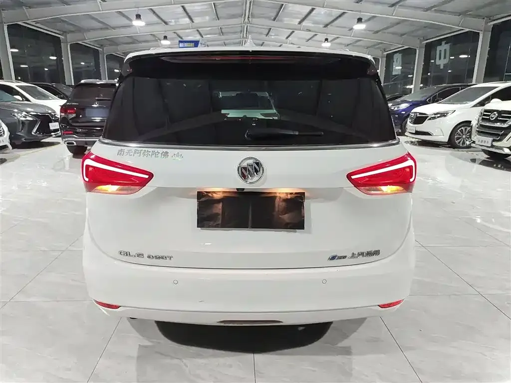Buick GL6 2021 из CN, фото 6