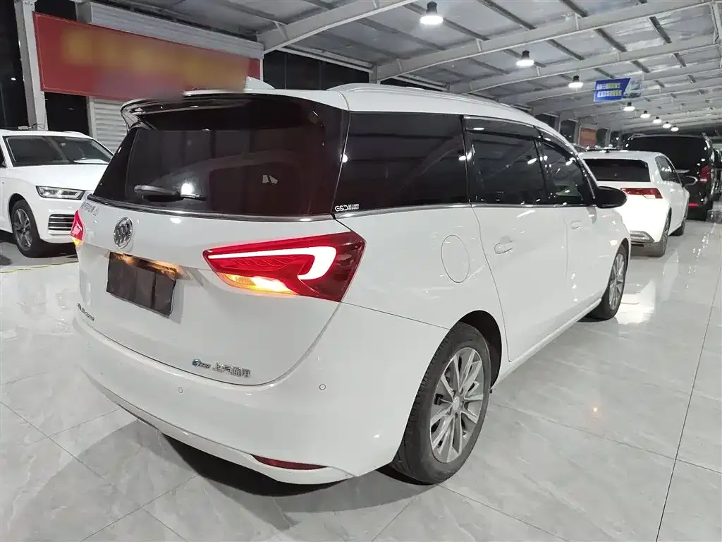 Buick GL6 2021 из CN, фото 7